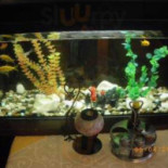 Wenzhoucity Nourriture