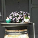 Kom Eens Kieken À l'intérieur