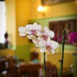 Le Rubis À l'intérieur