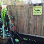 Chez L'oncle Sam Nourriture