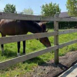 Terras Hoeve 'de Moerbeiboom Nourriture