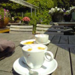 Eethuis De Diepen Nourriture