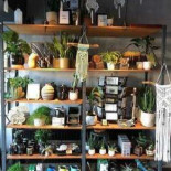 Cocoon Coffee More Exterior