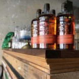 Johnny Flamingo Comida