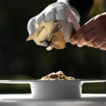 Colette De Vijvers Dentro