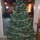 't Klein Verschil Nourriture