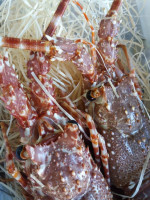 Hostellerie Gilain Nourriture