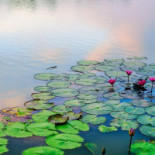 Postel Ter Heyde Comida