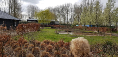 Café 't Groene Woud Comida