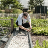 Den Burgh Nourriture