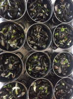 Den Bottel Nourriture