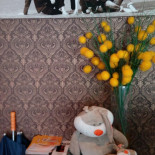 Bistrant Villa Nova À l'intérieur