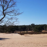 De Heihoeve Nourriture