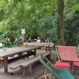 Bosbar Kalmthoutse Heide À l'intérieur