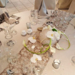 Le Primordia Nourriture