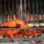 Rooselaer Nourriture