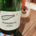 Shelter Studio’s Comida