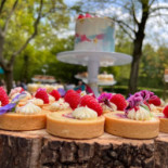 Fox Denekamp Nourriture