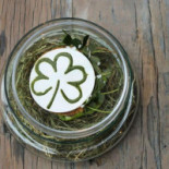 Hofke Van Bazel Nourriture