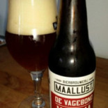 Monday's Apollo Comida