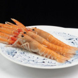 De Silveren Spiegel Comida