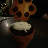 Looks À l'intérieur