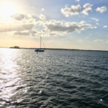 Bon Appetit Restaurant Bar Nourriture