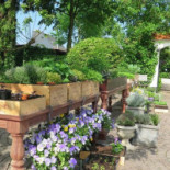 De Watermolen Nourriture