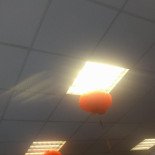 The Mandarin Extérieur