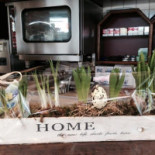 Snackbar Frans Dentro