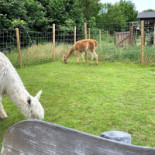 Indoor Mountainbike Dentro