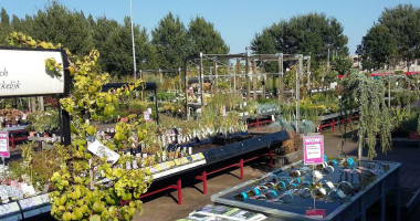 Intratuin Extérieur