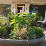 Eethuis Geitenkamp Extérieur