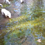 Dicht À l'intérieur