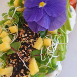 Sushi And Poké Nourriture