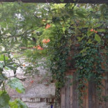 't Eetatelier Arnhem Nourriture