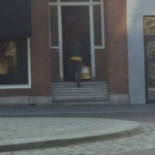 Hoki Poké Breda Nourriture