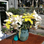 Trivio À l'intérieur