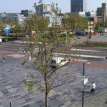 McDonald's Nourriture