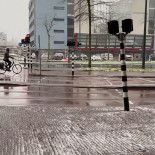 Tasty Corner Nourriture