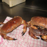 Bistro La Route Nourriture