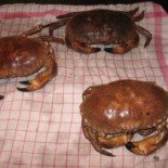 Bistro La Route Nourriture