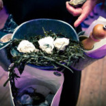 Strandpaviljoen Beachclub Citadel Comida