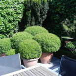 Villa Romana Extérieur