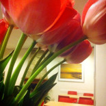 Cafetaria Sim Dentro