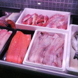 Fourka Fischer À l'intérieur