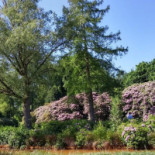 Cafeteria Melle Extérieur