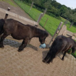 Juffrouw Jansen Nourriture