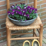 Knabbels En Knutsels Comida