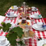 Knabbels En Knutsels Comida